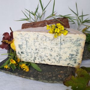 fromage bleu auvergne